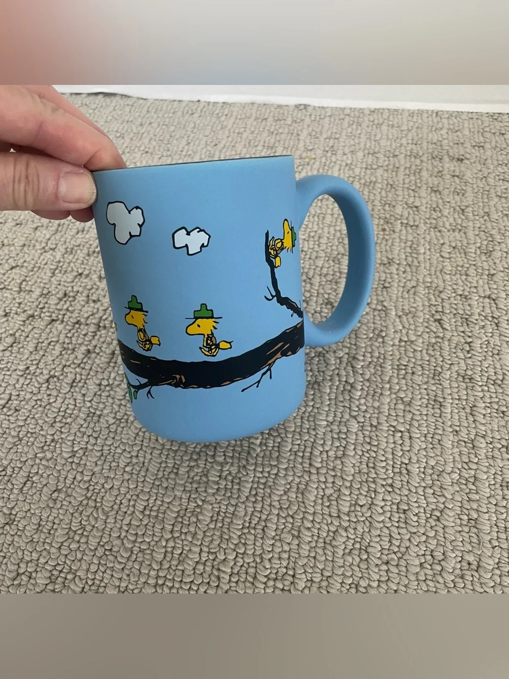 New snoopy blue mug